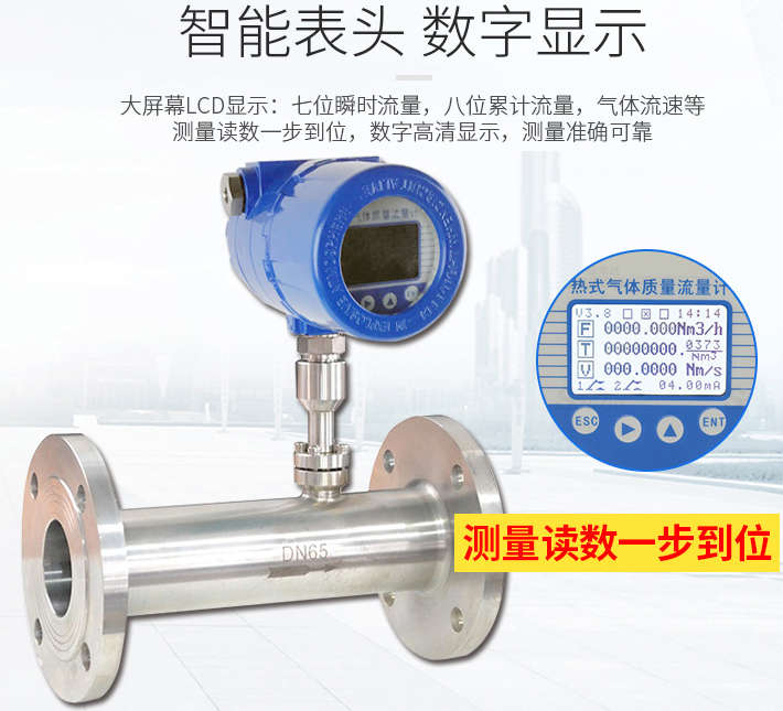 天然气热式气体质量流量计液晶表头显示图